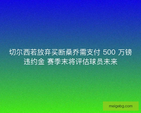 切尔西若放弃买断桑乔需支付 500 万镑违约金 赛季末将评估球员未来